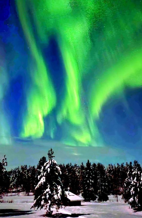 Northern Lights Lapland Villa Hosio Exterior foto